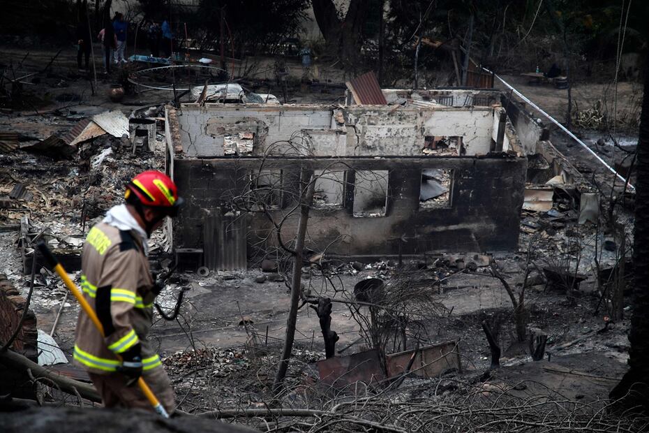 Un bombero trabaja en el Jardín Botánico después de un incendio forestal en Viña del Mar. Foto: AFP