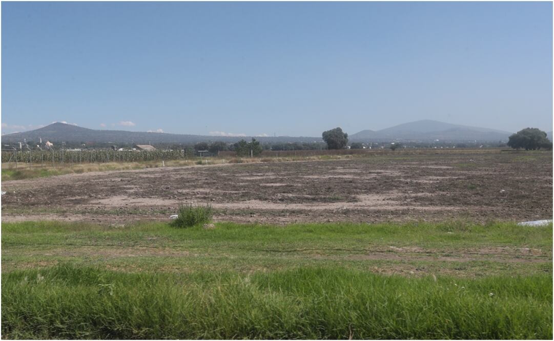 Foto: Archivo / EL UNIVERSAL