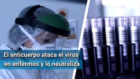 Desarrollan anticuerpo para el coronavirus en Israel; logra neutralizarlo