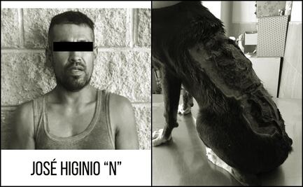 Cae presunto responsable de desollar y quemar vivo a perrito en Sonora