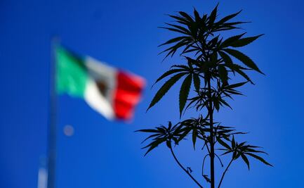 Se cumple el sueño de Caro Quintero y "El Chapo"