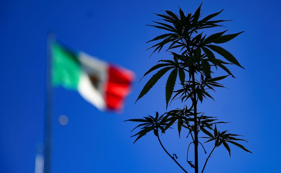 Fotos: ARCHIVO EL UNIVERSAL