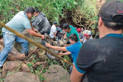 Madres gritaban por sus hijos en Michoacán, pero el río se los llevó