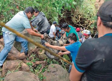Madres gritaban por sus hijos en Michoacán, pero el río se los llevó