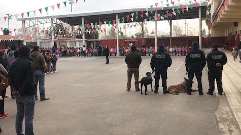 Autoridades de Torreón pidieron binomios caninos en escuela