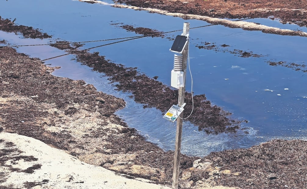 Los nuevos sensores para medir el gas que produce el sargazo son fijos y funcionan de manera autónoma; algunos fueron instalados en viviendas. Foto: Adriana Varillas/ El UNIVERSAL