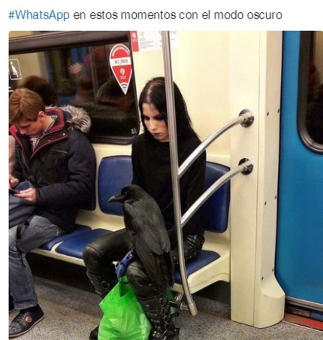 Después de la llegada de la nueva opción de WhatsApp, los memes no se hicieron esperar / Foto: Twitter