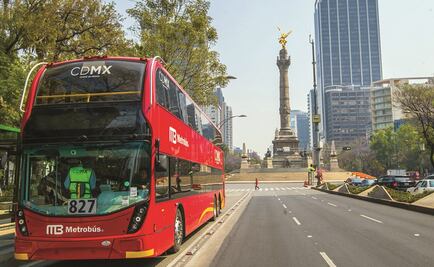 Ambientalistas piden suspender Línea 7 de Metrobús en Reforma