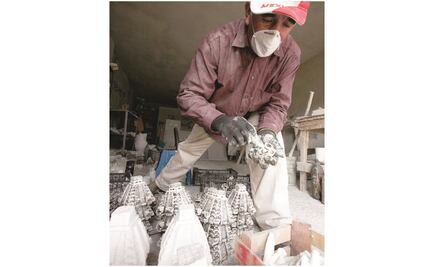 “Artesanías en hueso, parte de la cultura”