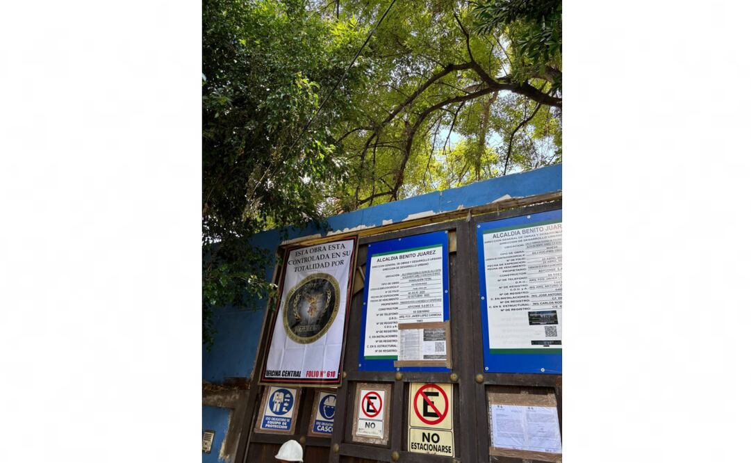 La constructora Adince intentó cortar el follaje de “Eugenito”, un árbol de aproximadamente 25 metros de altura ubicado en cerrada de Eugenia, en la colonia Del Valle. Foto: Especial.