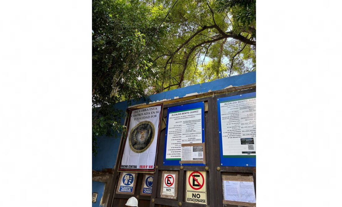 La constructora Adince intentó cortar el follaje de “Eugenito”, un árbol de aproximadamente 25 metros de altura ubicado en cerrada de Eugenia, en la colonia Del Valle. Foto: Especial.