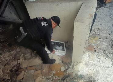 Recuperan 7 obras de arte robadas de la la Galería de Arte Moderno en Sinaloa