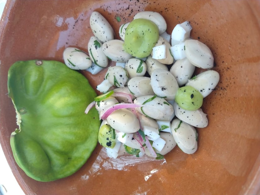 Foto: Raquel del Castillo