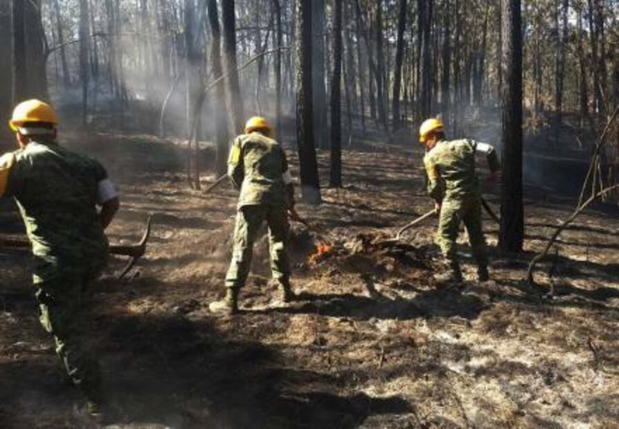 Michoacán concentra el 11.5 por ciento del total de incendios forestales del país