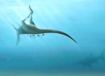 Descubren nueva especie de dinosaurio de hace 115 millones de años