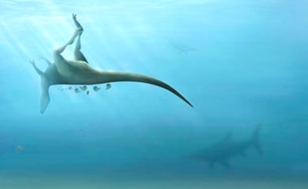 Descubren nueva especie de dinosaurio de hace 115 millones de años