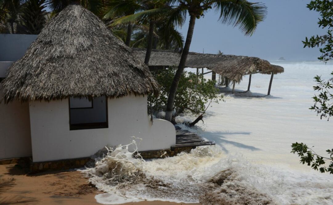 Foto: Archivo/Cuartoscuro                                   