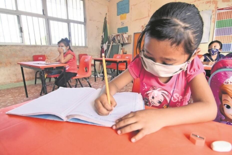 El árbol de los mitos y leyendas de la 4T