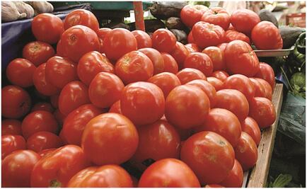 Productores de jitomate ven riesgos en exportaciones a EU