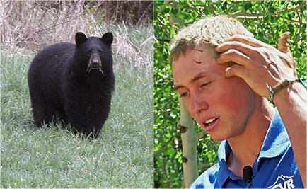 Joven se queda dormido al aire libre y oso le muerde la cabeza