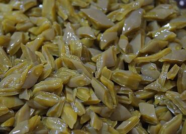 Prepara tinga de nopales para ahorrar dinero como Doña Ángela