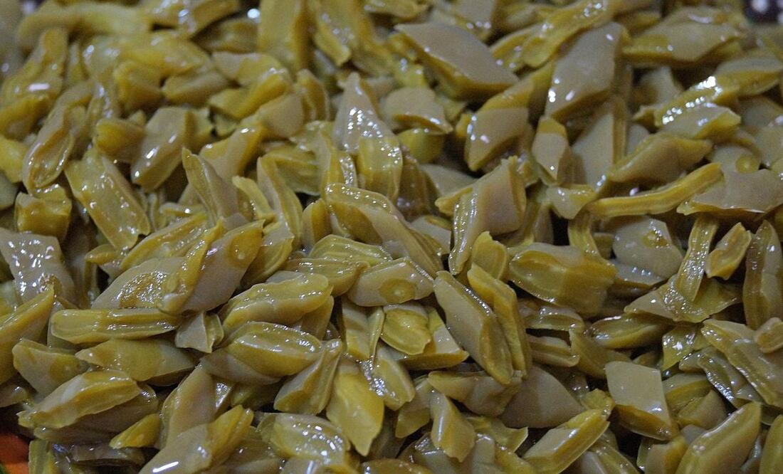 Los nopales ofrecen múltiples nutrientes. Imagen: Pixabay