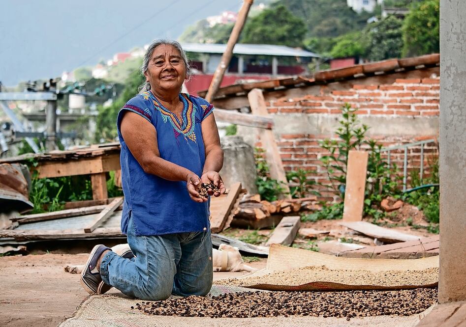 Doña Herminia Santiago trabaja arduamente, junto a su hija Erika, en los cafetales heredados por sus abuelos. Foto: de Juana García