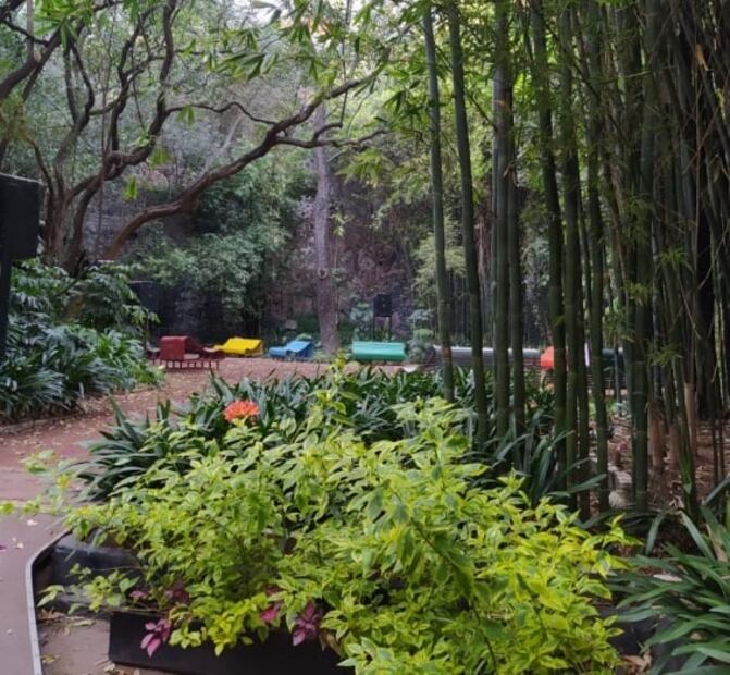 Audioramas para visitar en la Ciudad de México