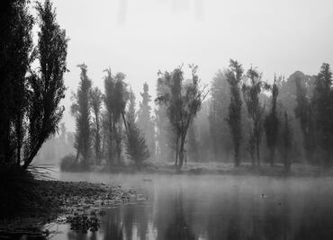 Cuándo es el campamento de terror en Xochimilco