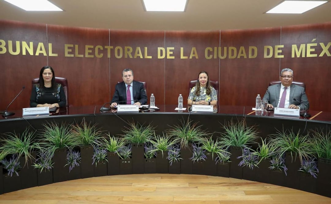 Tribunal Electoral desecha juicios que buscaban impugnar lineamientos del IECM para la elección judicial (02/04/2025). Foto: Especial