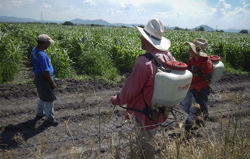 Foto: Archivo/EL UNIVERSAL
