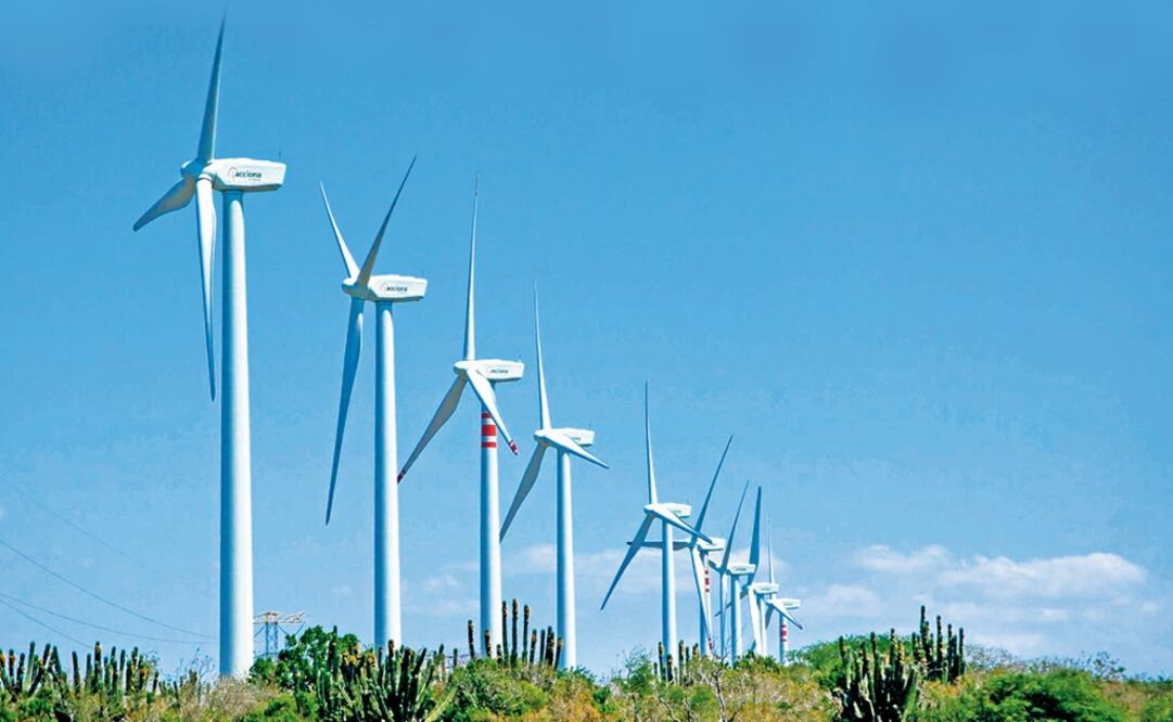 Between 2020 and 2022 Mexico could reach 12 thousand megawatts of installed capacity - Photo: Courtesy of the Mexican Association of Wind Energy