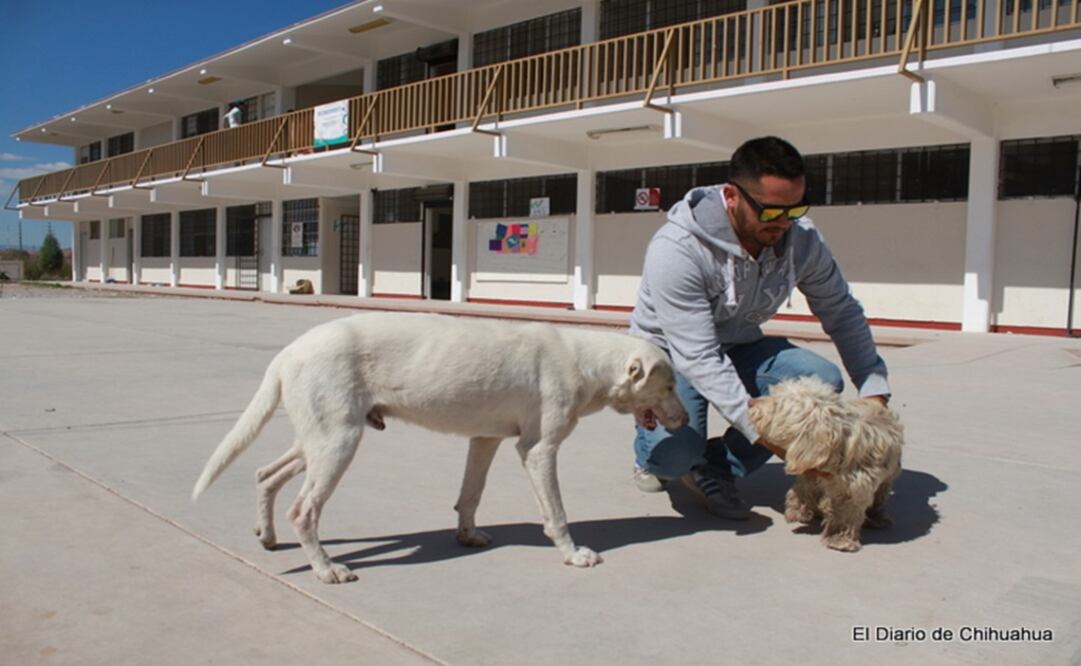 (Foto: El Diario de Chihuahua)