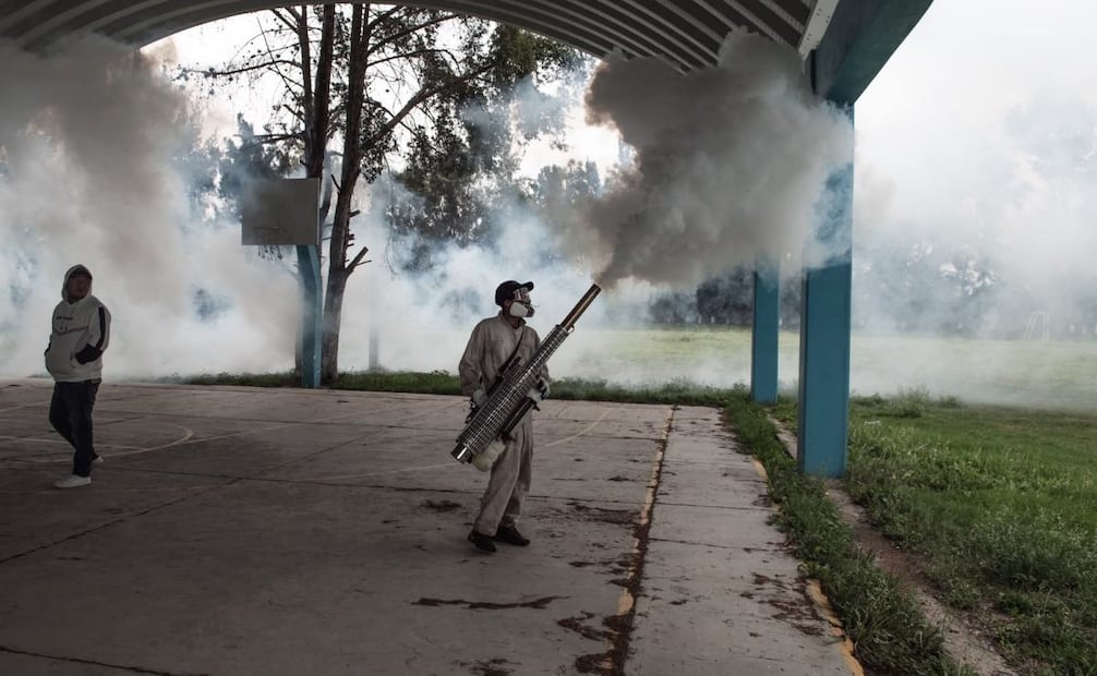 Fumigan 40 escuelas contra el mosco Culex en Tepetitlán, Hidalgo; labores seguirán hasta el 28 de agosto.
Foto: Especial.