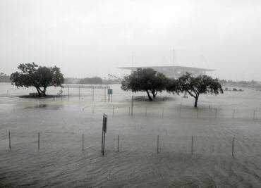 La casa de Dolphins no sufre daño