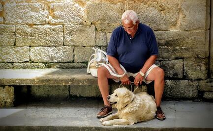 Mercado de mascotas apunta a personas de la tercera edad
