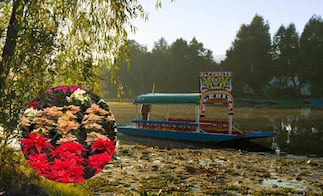 Lánzate a la Ruta de la Nochebuena en Xochimilco