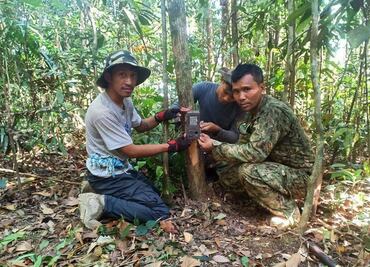 Así es el ciervo gigante descubierto en Camboya, una especie rara en peligro de extinción