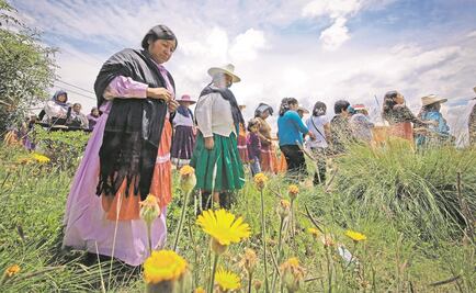 Se olvidan de trayectoria, premiarán obra inédita