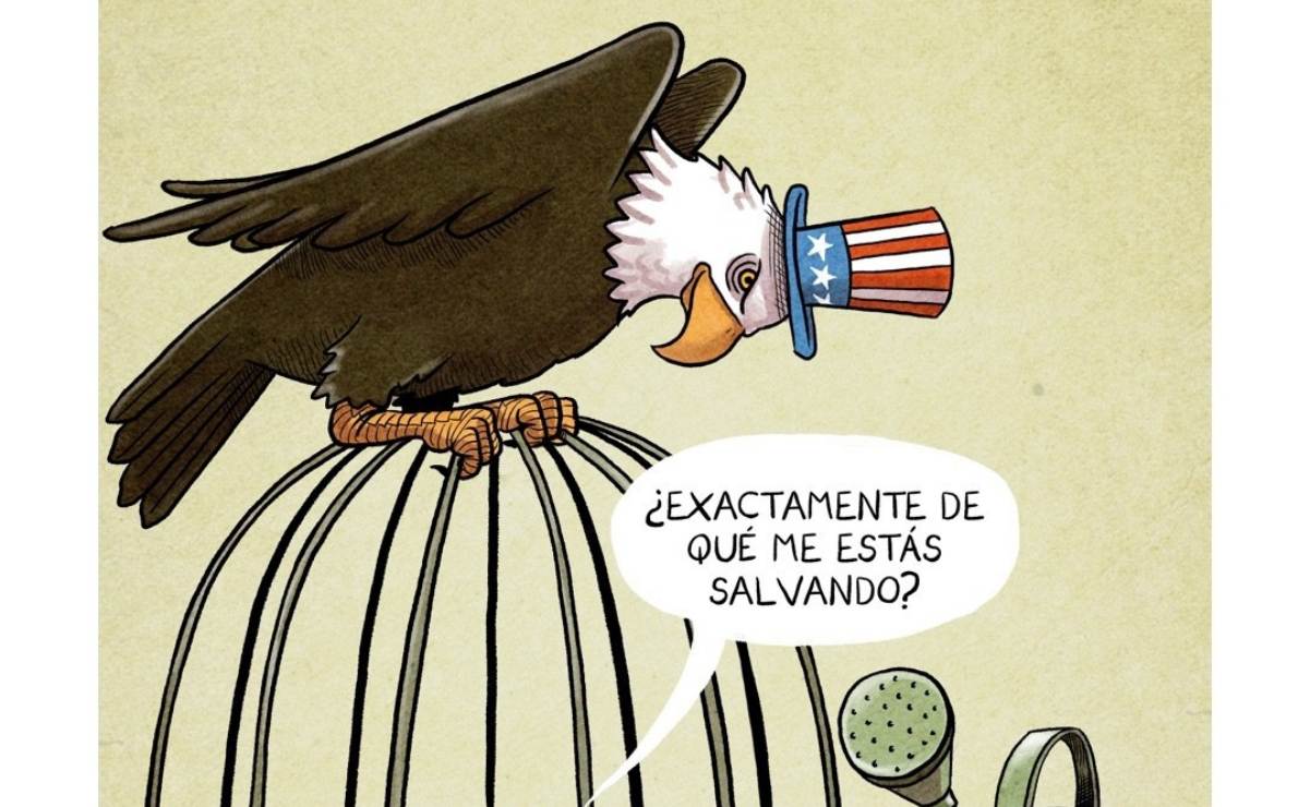 Cartón de CHELO