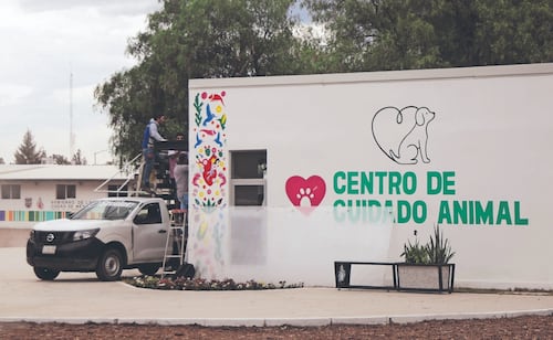 Continúan obras en el centro de bienestar animal
