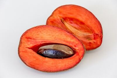 Recetas con mamey para aprovechar la temporada