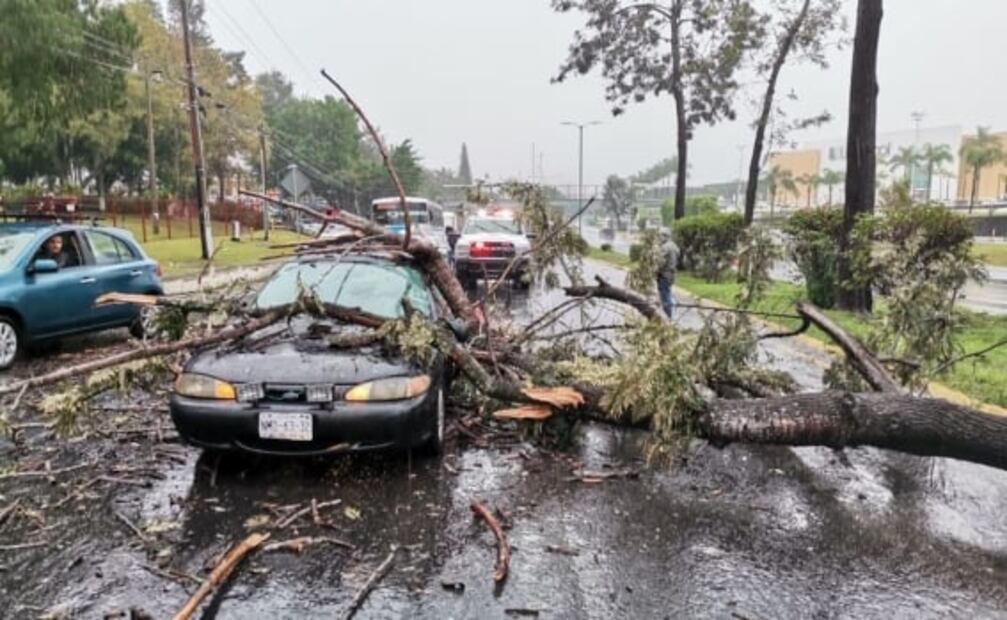 Lluvias dejan inundaciones y daños materiales en Veracruz