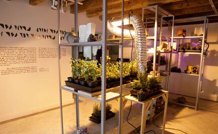 Cuatro muestras dialogan en Casa del Lago