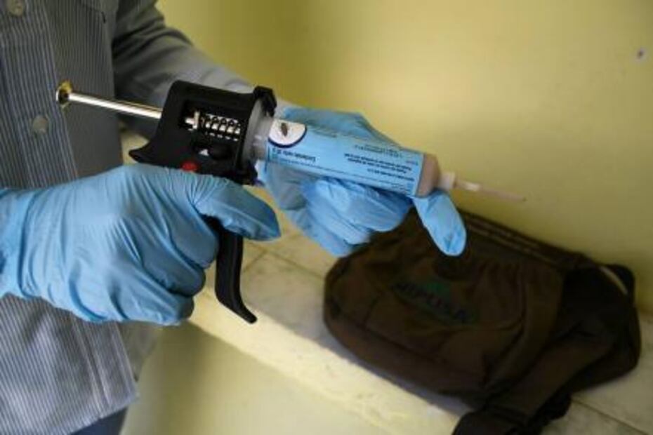 Alertan en varias entidades por consecuencias de las plagas urbanas