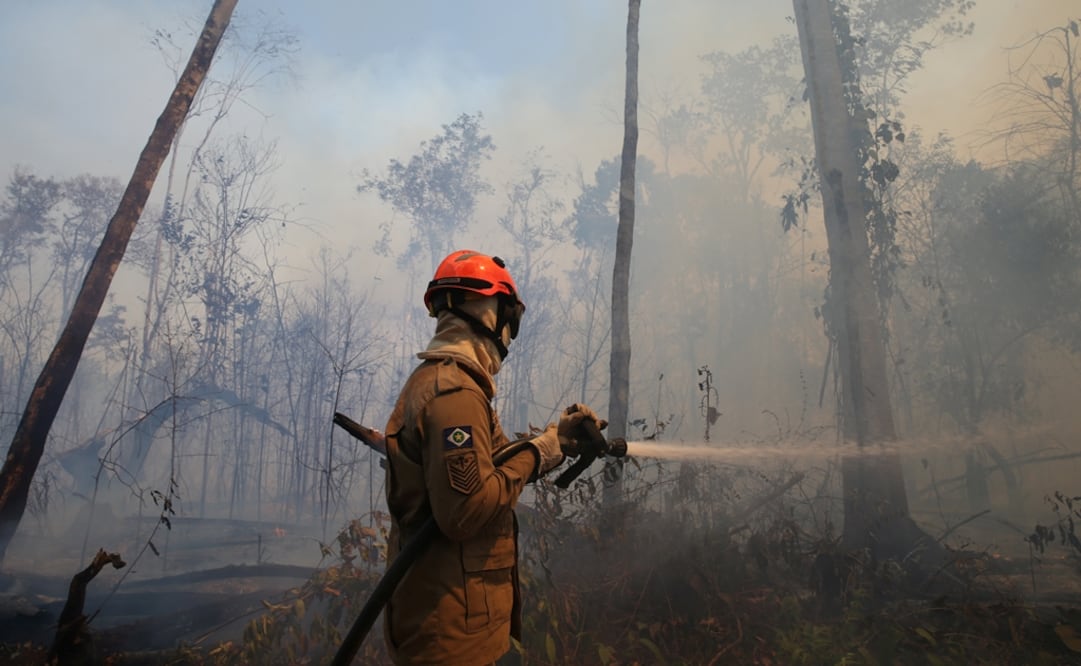 Mato Grosso, Brasil, 4 de septiembre de 2019. Foto: Reuters
