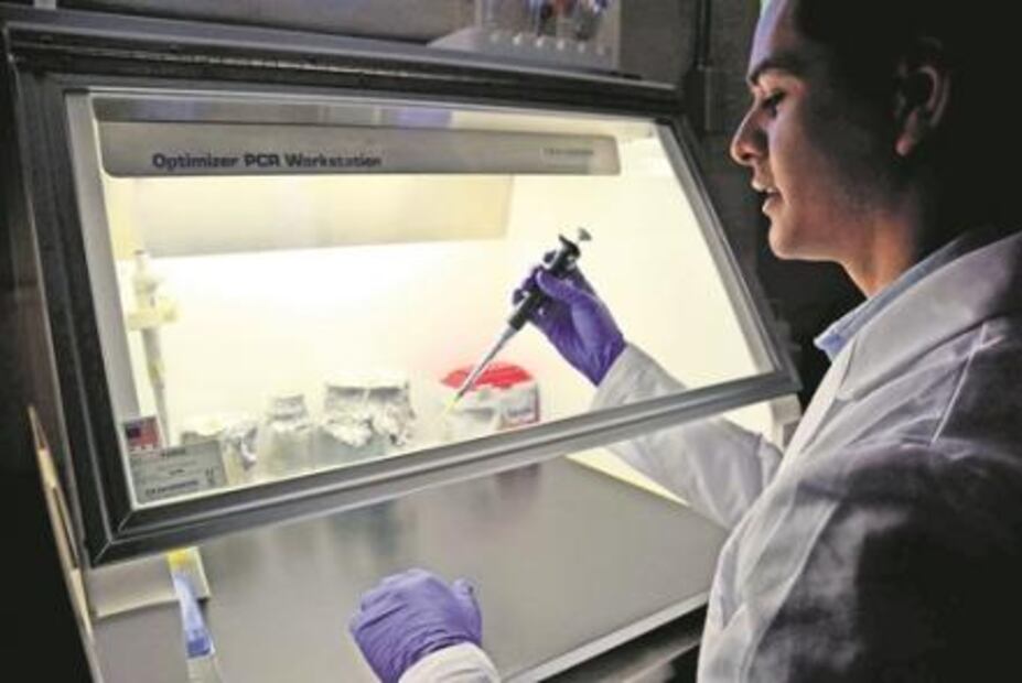 Sonorenses son proclives a obesidad