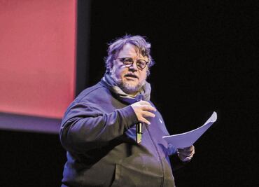 Con Lydia Cacho sólo he platicado: Del Toro