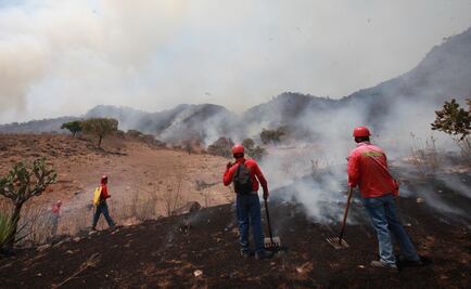 ​Prevén incendios forestales intensos en primer trimestre del año