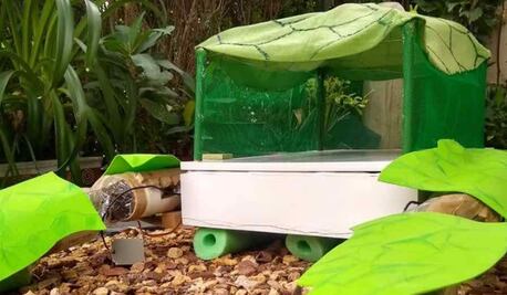 Diseñan en el IPN vehículo eléctrico para limpieza de lagos